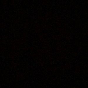 Meet your Posher, Sharan